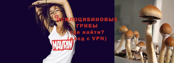 гидра Новозыбков